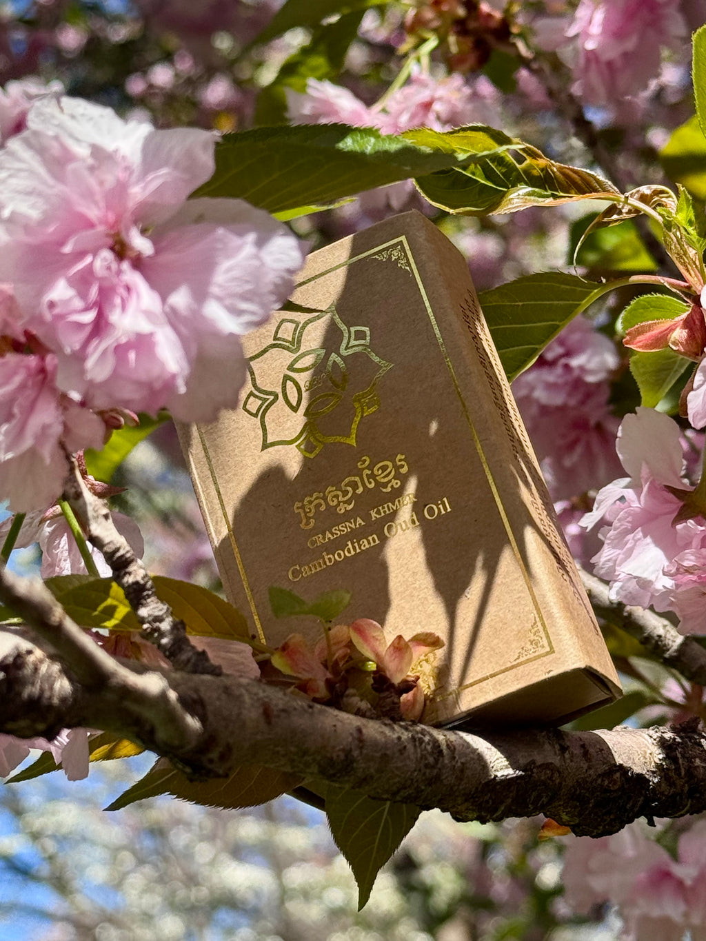 Crassna Khmer Cambodian Oud Oil Gold 5ml